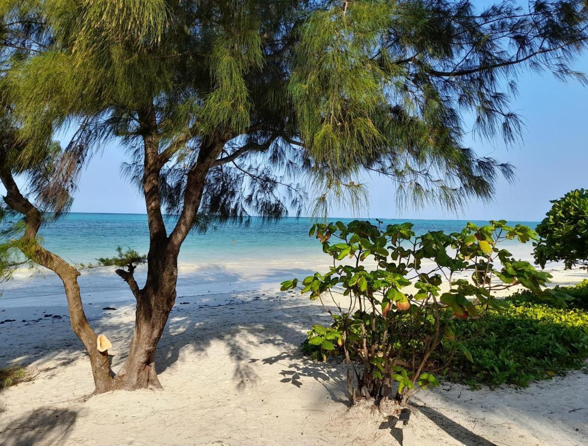 Kijani Beach Villas Bwejuu Kültér fotó